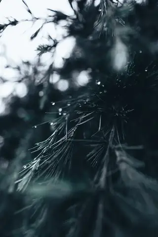 日常与生命 · 摄影 03