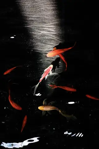 日常与生命 · 摄影 08