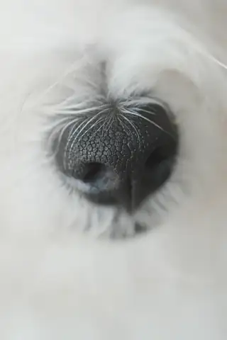 日常与生命 · 摄影 13